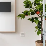 Apartment Stilvoll & Zentral In St Gallen -wyba Living Rio