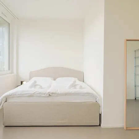 Appartement Stilvoll & Zentral In St Gallen -wyba Living Rio Saint-Gall