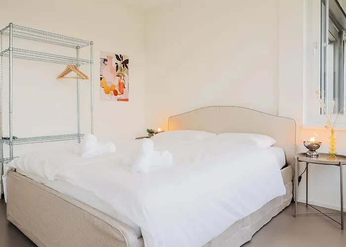 Lägenhet Stilvoll & Zentral In St Gallen -wyba Living Rio *