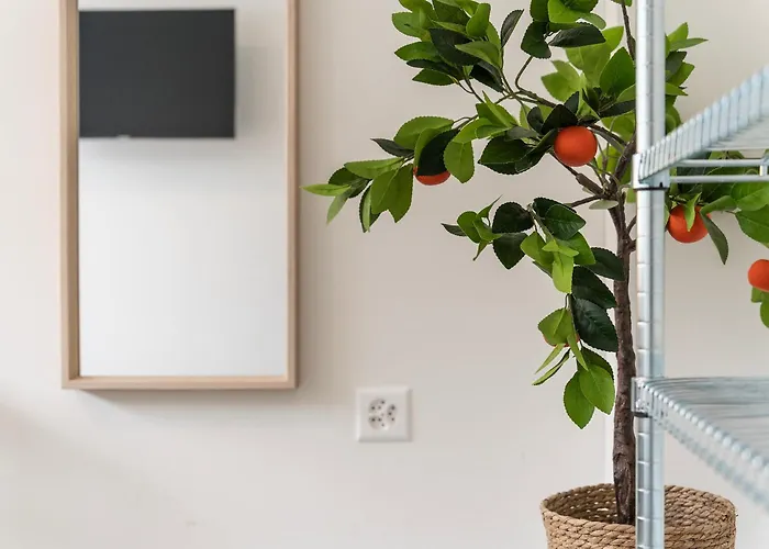 Appartement Stilvoll & Zentral In St Gallen -wyba Living Rio